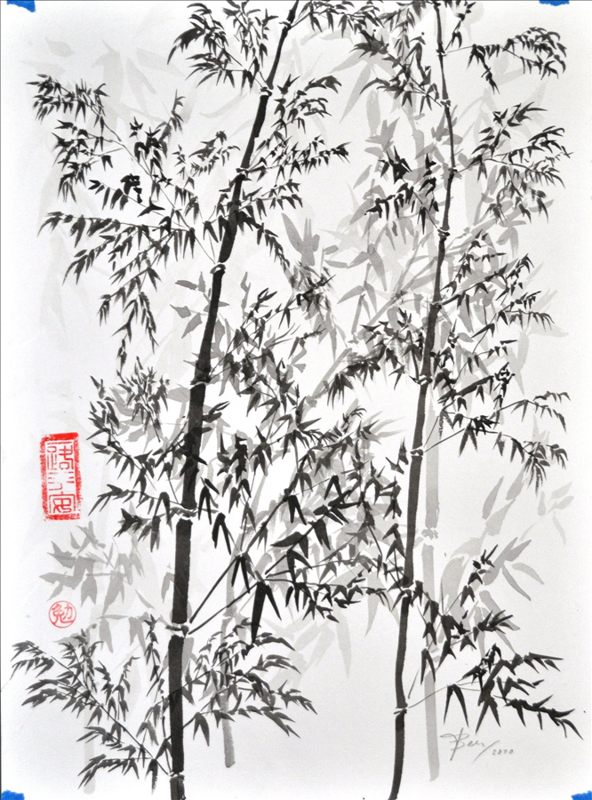 Bamboo